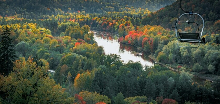 Koku galotnes zelta rudens krāsās un upe.