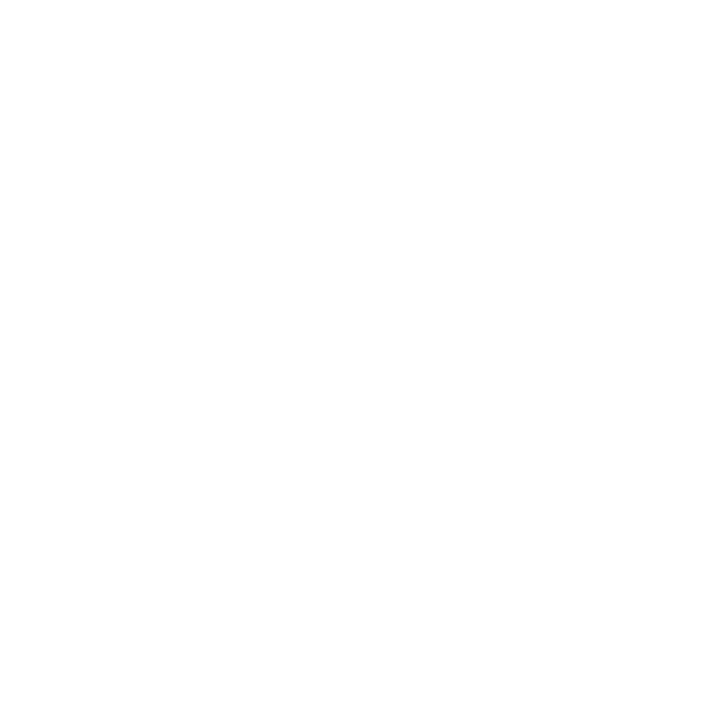 Pikšķerēšana (Phishing)